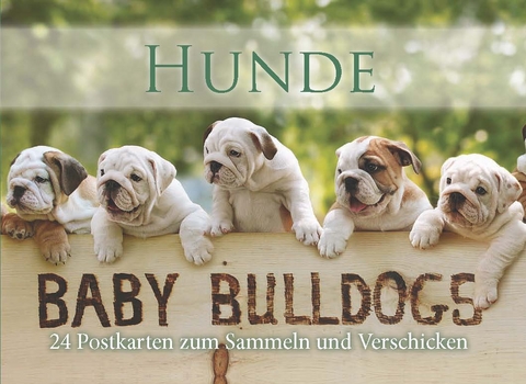 Postkartenbuch Hunde - Baby Bulldogs