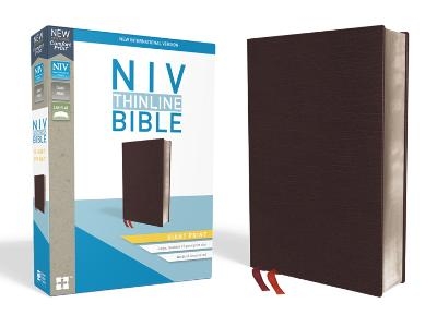 NIV, Thinline Bible, Giant Print, Bonded Leather, Burgundy, Red Letter, Thumb Indexed, Comfort Print -  Zondervan