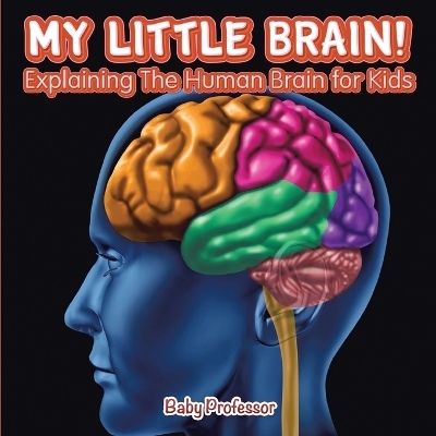 My Little Brain! - Explaining The Human Brain for Kids -  Baby Professor