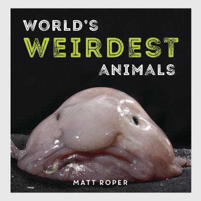 World's Weirdest Animals - Matt Roper