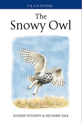 The Snowy Owl - Eugene Potapov, Richard Sale