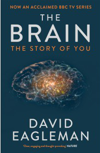 The Brain - David Eagleman