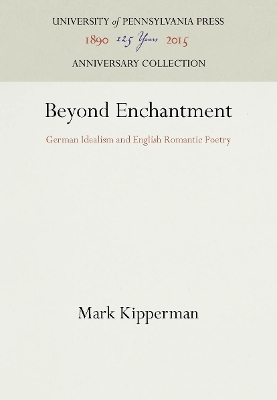 Beyond Enchantment - Mark Kipperman