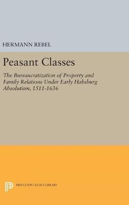 Peasant Classes - Hermann Rebel