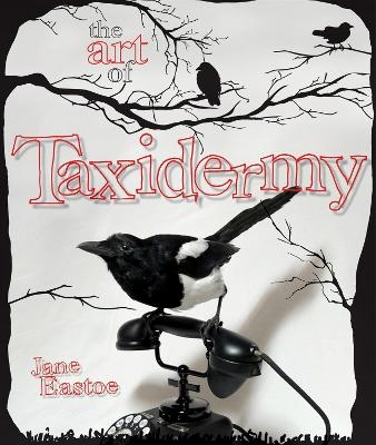 The Art of Taxidermy - Jane Eastoe