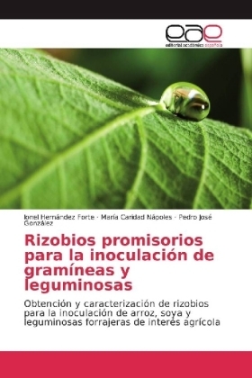 Rizobios promisorios para la inoculaciÃ³n de gramÃ­neas y leguminosas - Ionel HernÃ¡ndez Forte, MarÃ­a Caridad NÃ¡poles, Pedro JosÃ© GonzÃ¡lez