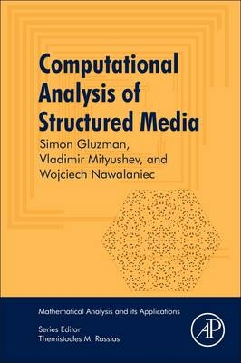 Computational Analysis of Structured Media - Simon Gluzman, Vladimir Mityushev, Wojciech Nawalaniec