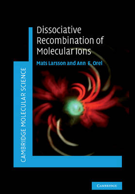 Dissociative Recombination of Molecular Ions - Mats Larsson, Ann E. Orel