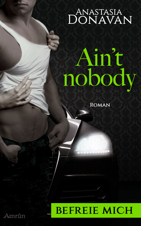 Ain't Nobody 2: Befreie mich - Anastasia Donavan