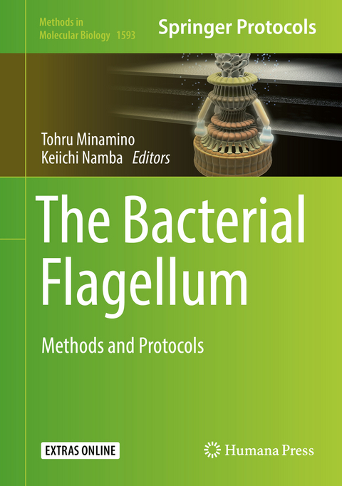 The Bacterial Flagellum - 