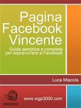 Pagina Facebook Vincente - Luca Miacola