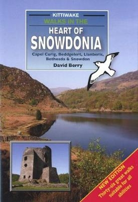 Walks in the Heart of Snowdonia - David Berry