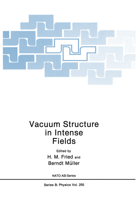 Vacuum Structure in Intense Fields - 