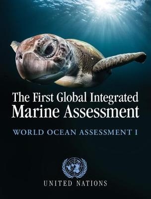 The First Global Integrated Marine Assessment - 