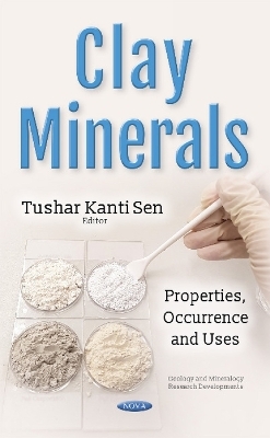 Clay Minerals - 