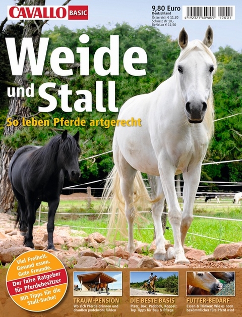 Cavallo Basic:  Weide & Stall