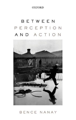 Between Perception and Action - Bence Nanay