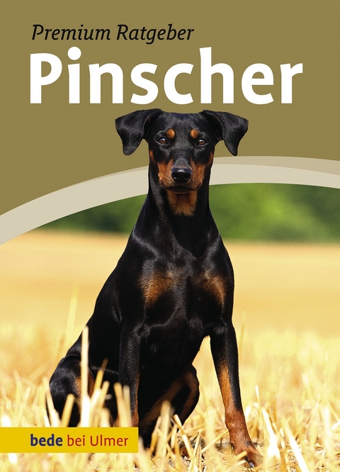 Pinscher - Annette Schmitt