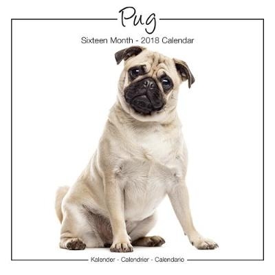 Pug Studio Calendar 2018 -  Avonside Publishing Ltd