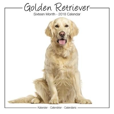 Golden Retriever Studio Calendar 2018 -  Avonside Publishing Ltd