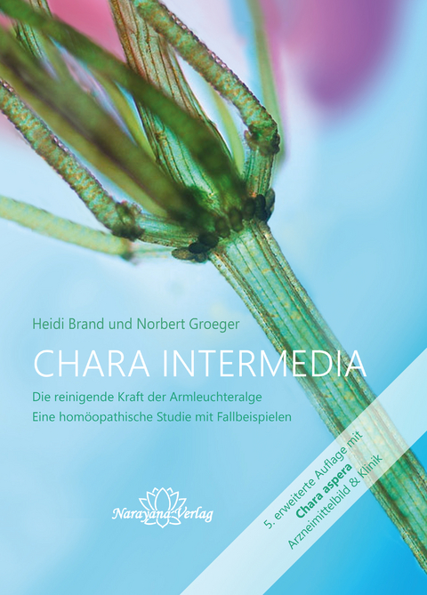 Chara intermedia - Heidi Brand, Norbert Groeger