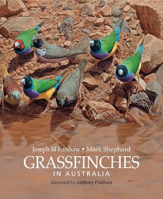 Grassfinches in Australia - Joseph M. Forshaw, Mark Shephard