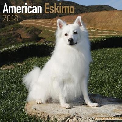 American Eskimo Calendar 2018 -  Avonside Publishing Ltd