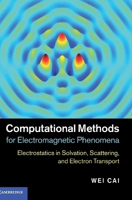 Computational Methods for Electromagnetic Phenomena - Wei Cai