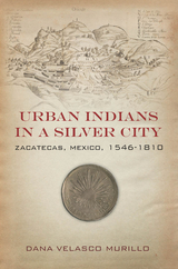 Urban Indians in a Silver City -  Dana Velasco Murillo