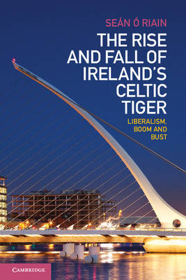 The Rise and Fall of Ireland's Celtic Tiger - Seán Ó Riain