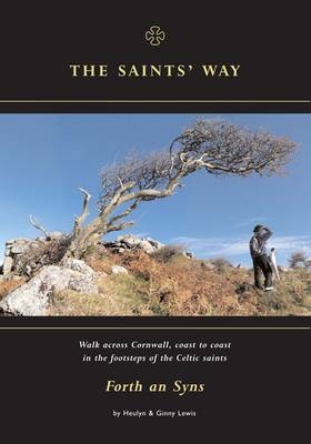The Saints' Way - Heulyn L. Lewis, Ginny Lewis