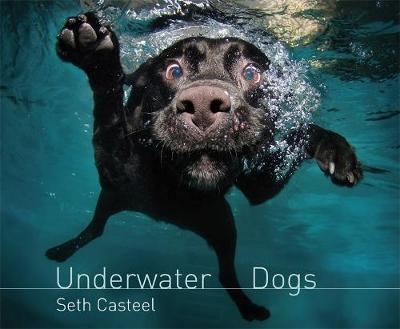 Underwater Dogs - Seth Casteel