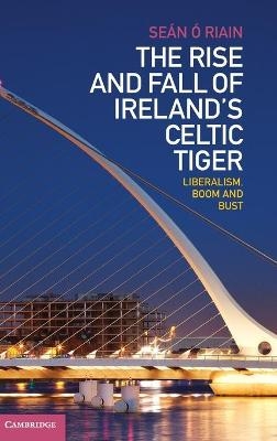 The Rise and Fall of Ireland's Celtic Tiger - Seán Ó Riain