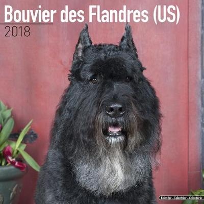 Bouvier des Flandres (US) Calendar 2018 -  Avonside Publishing Ltd