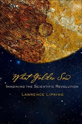 What Galileo Saw - Lawrence Lipking