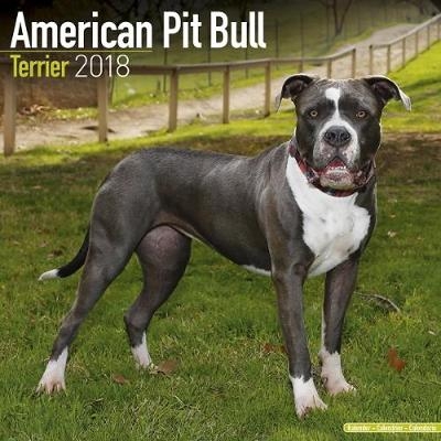 American Pit Bull Terrier Calendar 2018 -  Avonside Publishing Ltd