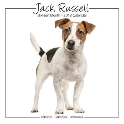 Jack Russell Studio Calendar 2018 -  Avonside Publishing Ltd