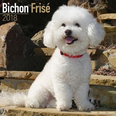 Bichon Frise Calendar 2018 -  Avonside Publishing Ltd