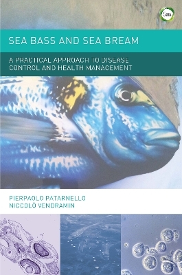 Sea Bass and Sea Bream - Pierpaolo Patarnello