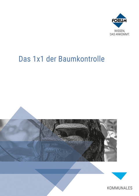 Das 1x1 der Baumkontrolle - Dr. Henrik Weiß, Hendrik Wagler, Michael Tolksdorf, Klaus Schröder, Thomas Langner, Thomas Lux, Rainer Hilsberg, Georg Braun