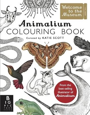 Animalium Colouring Book - Kate Baker