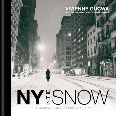 New York In The Snow - Vivienne Gucwa