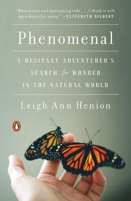 Phenomenal - Leigh Ann Henion