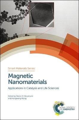 Magnetic Nanomaterials - 