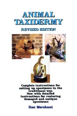 Animal Taxidermy - Rex Merchant