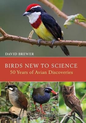 Birds New to Science - David Brewer