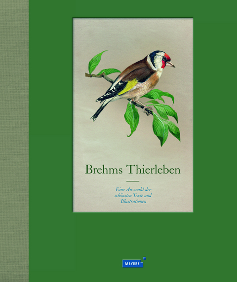 Brehms Thierleben - 