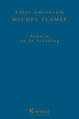 Schuim op de branding - Michel Flamée