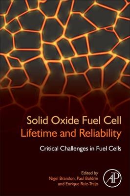 Solid Oxide Fuel Cell Lifetime and Reliability - Nigel Brandon