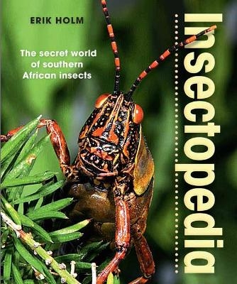 Insectopedia – The secret world of southern African insects - Erik Holm